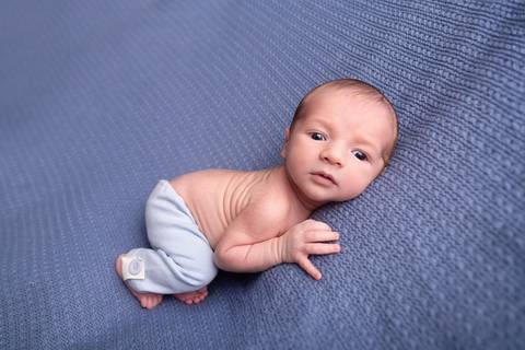 bebê recém nascido newborn brasilia fotografa fotografo fotógrafa brasília df distrito federal baby bebe reborn book melhor leticia franco letícia lifestyle
'