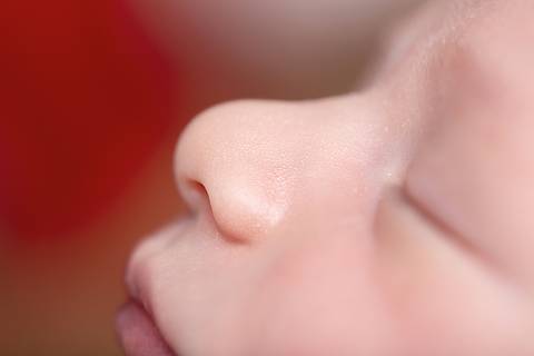 bebê recém nascido newborn brasilia fotografa fotografo fotógrafa brasília df distrito federal baby bebe reborn book melhor leticia franco letícia lifestyle
'