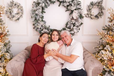 ensaio de natal bebê touca de papai noel brasilia df registrado pela fotógrafa letícia franco casa do papai noel sala arvore guirlanda roupa de papai noel
'