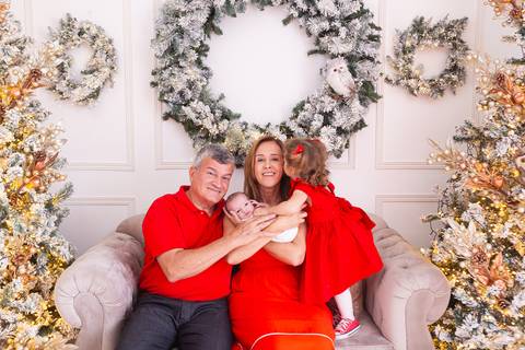 ensaio de natal bebê touca de papai noel brasilia df registrado pela fotógrafa letícia franco casa do papai noel sala arvore guirlanda roupa de papai noel
'