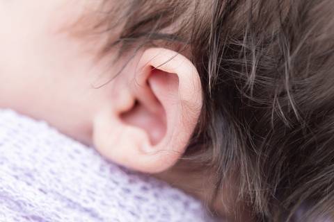 bebê recém nascido newborn brasilia fotografa fotografo fotógrafa brasília df distrito federal baby bebe reborn book melhor leticia franco letícia lifestyle
'