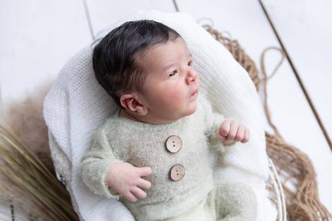 bebê recém nascido newborn brasilia fotografa fotografo fotógrafa brasília df distrito federal baby bebe reborn book melhor leticia franco letícia lifestyle
'