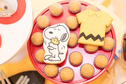 festa infantil 01 ano decoração brasilia df distrito federal book fotografo fotógrafa fotografa fotografia melhor leticia franco letícia snoopy charlie brown '