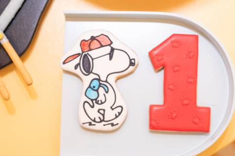 festa infantil 01 ano decoração brasilia df distrito federal book fotografo fotógrafa fotografa fotografia melhor leticia franco letícia snoopy charlie brown '