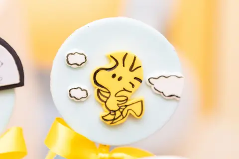 festa infantil 01 ano decoração brasilia df distrito federal book fotografo fotógrafa fotografa fotografia melhor leticia franco letícia snoopy charlie brown '