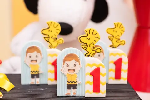 festa infantil 01 ano decoração brasilia df distrito federal book fotografo fotógrafa fotografa fotografia melhor leticia franco letícia snoopy charlie brown '