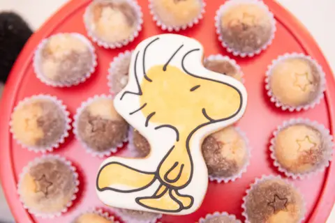 festa infantil 01 ano decoração brasilia df distrito federal book fotografo fotógrafa fotografa fotografia melhor leticia franco letícia snoopy charlie brown '