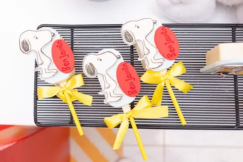 festa infantil 01 ano decoração brasilia df distrito federal book fotografo fotógrafa fotografa fotografia melhor leticia franco letícia snoopy charlie brown '