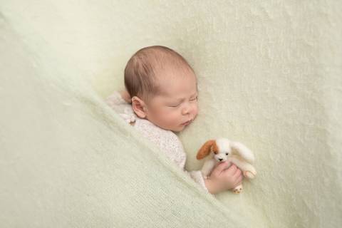 bebê recém nascido newborn brasilia fotografa fotografo fotógrafa brasília df distrito federal baby bebe reborn book melhor leticia franco letícia lifestyle
'