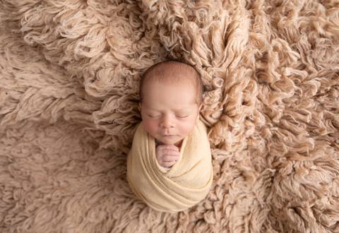 bebê recém nascido newborn brasilia fotografa fotografo fotógrafa brasília df distrito federal baby bebe reborn book melhor leticia franco letícia lifestyle
'