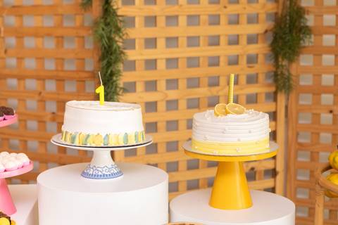 festa infantil 01 ano decoração brasilia df distrito federal book fotografo fotógrafa fotografa fotografia melhor leticia franco letícia '