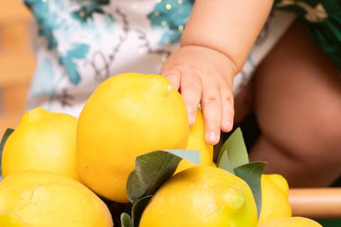 festa infantil 01 ano decoração brasilia df distrito federal book fotografo fotógrafa fotografa fotografia melhor leticia franco letícia '