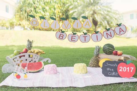 decoração cake smash quitandinha frutas destruindo o bolo gemeas'
