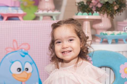 festa infantil 02 anos decoração brasilia df distrito federal book fotografo fotógrafa fotografa fotografia melhor leticia franco letícia galinha pintadinha menina maedoteca picnic'