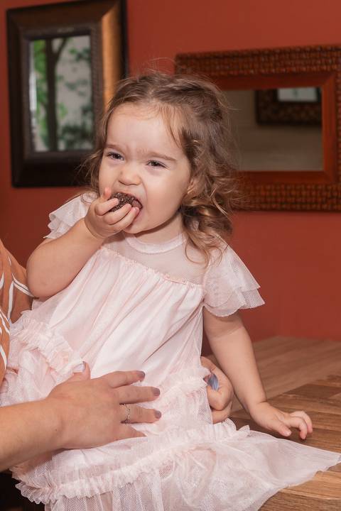 festa infantil 02 anos decoração brasilia df distrito federal book fotografo fotógrafa fotografa fotografia melhor leticia franco letícia galinha pintadinha menina maedoteca picnic'