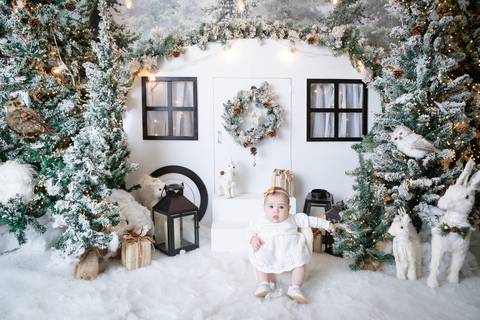 ensaio de natal bebê touca de papai noel brasilia df registrado pela fotógrafa letícia franco papai noel arvore guirlanda pijama carter's carters  trailer neve
'