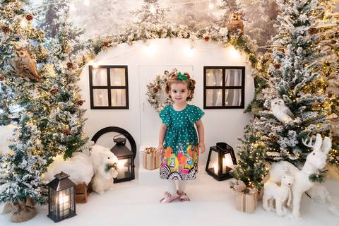 ensaio de natal bebê touca de papai noel brasilia df registrado pela fotógrafa letícia franco papai noel arvore guirlanda pijama carter's carters  trailer neve
'