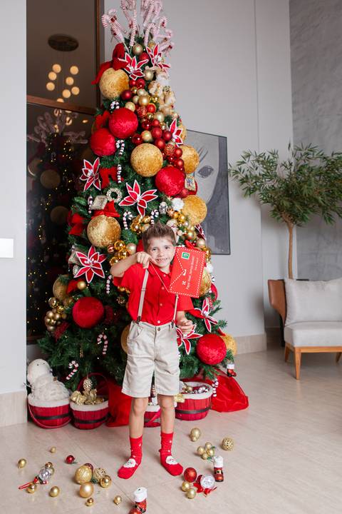 ensaio de natal bebê touca de papai noel brasilia df registrado pela fotógrafa letícia franco papai noel arvore guirlanda ensaio em casa'