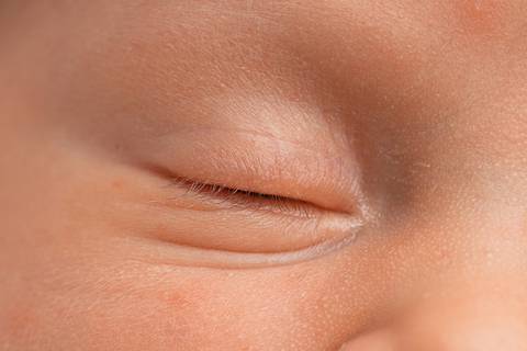 bebê recém nascido newborn brasilia fotografa fotografo fotógrafa brasília df distrito federal baby bebe reborn book melhor leticia franco letícia  wrap enrolado 
'