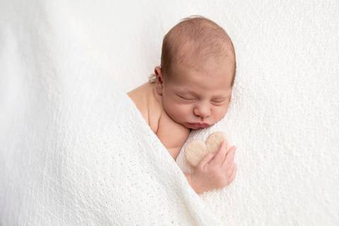 bebê recém nascido newborn brasilia fotografa fotografo fotógrafa brasília df distrito federal baby bebe reborn book melhor leticia franco letícia  wrap enrolado 
'