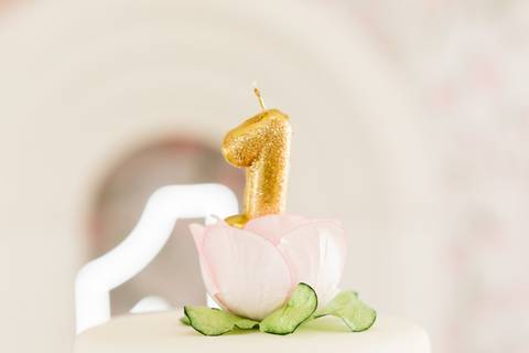 festa infantil 01 ano decoração brasilia df distrito federal book fotografo fotógrafa fotografa fotografia melhor leticia franco letícia jardim borboletas slube assefaz brasilia'