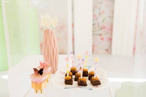 festa infantil 01 ano decoração brasilia df distrito federal book fotografo fotógrafa fotografa fotografia melhor leticia franco letícia jardim borboletas slube assefaz brasilia'