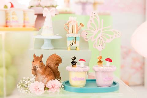 festa infantil 01 ano decoração brasilia df distrito federal book fotografo fotógrafa fotografa fotografia melhor leticia franco letícia jardim borboletas slube assefaz brasilia'