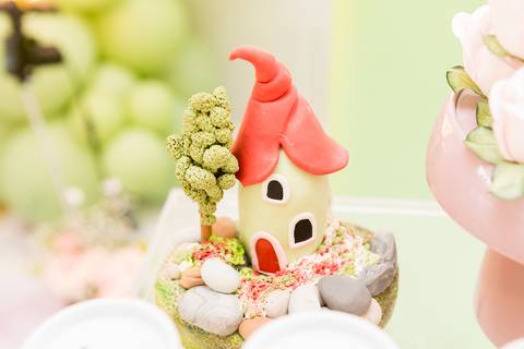 festa infantil 01 ano decoração brasilia df distrito federal book fotografo fotógrafa fotografa fotografia melhor leticia franco letícia jardim borboletas slube assefaz brasilia'