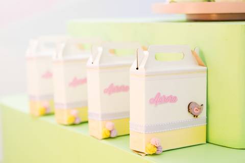 festa infantil 01 ano decoração brasilia df distrito federal book fotografo fotógrafa fotografa fotografia melhor leticia franco letícia jardim borboletas slube assefaz brasilia'