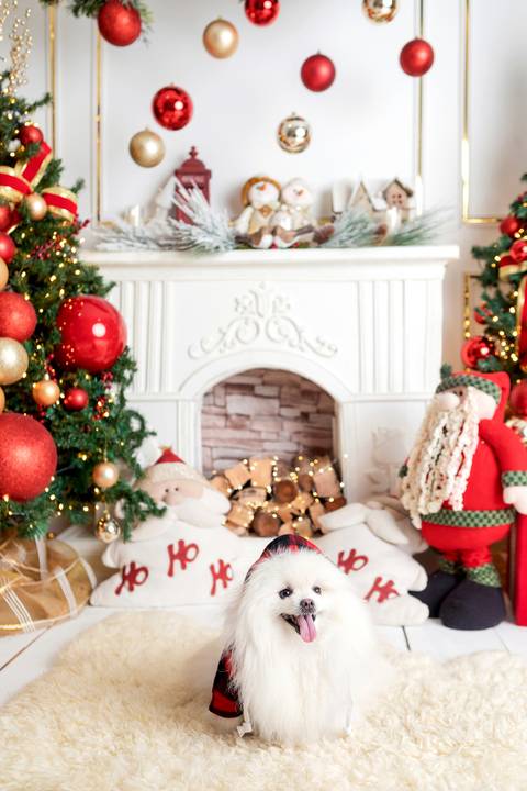 ensaio de natal bebê touca de papai noel brasilia df registrado pela fotógrafa letícia franco papai noel arvore guirlanda pijama carter's carters  trailer neve
ensaio de natal em brasilia brasília'