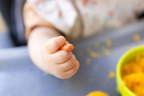 Introdução alimentar e descobertas sensoriais na infância. A bebê Cecília aos 8 meses experimentando manga em momento espontâneo e lúdico com frutas.'