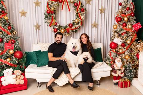 Ensaio de Natal com pets em Brasília. Taty e Marcelo reunidos no estúdio com os cachorros Ártico e Apollo.'