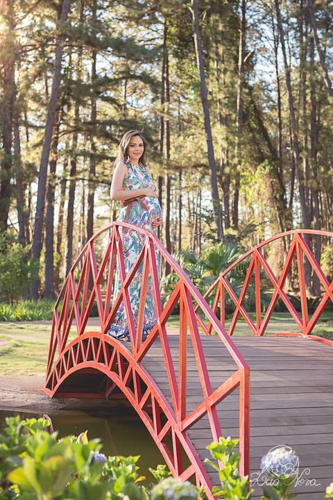 lua nova art e foto leticia amaral ensaio gestante brasilia jardim botanico lago sul linda grávida gabriel karina colorido vestido fotografia fotografo fotografa orçamento orcamento pinheiros pinheiro jardim japonês ponte vermelha laguinho lago'