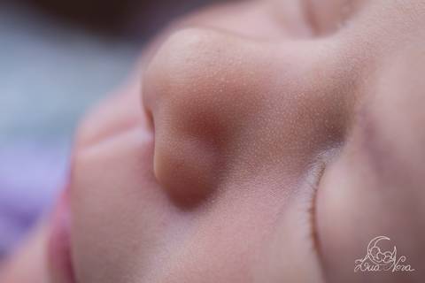 ensaio newborn brasilia recem nascido gabriela df distrito federal bebe baby rosa lilas branco tina redonda wrap e touca piso detalhe do perfil nariz'