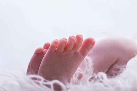 ensaio newborn brasilia df guará azul branco gabriel macro pés'