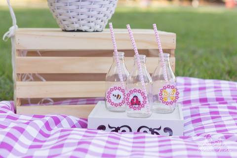 Giovanna smash the cake museu vivo da memoria candanga muito sorriso jardim insetos'