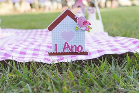 Giovanna smash the cake museu vivo da memoria candanga muito sorriso jardim decoração'