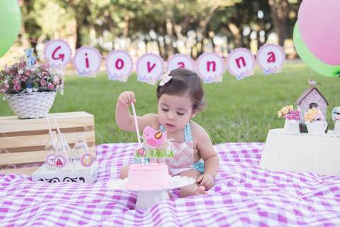 Giovanna smash the cake museu vivo da memoria candanga muito sorriso jardim destruindo o bolo amassando'