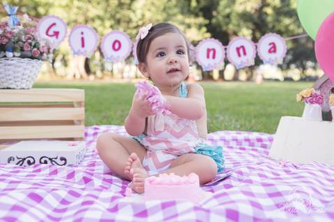 Giovanna smash the cake museu vivo da memoria candanga muito sorriso jardim amassando o bolo destruindo o bolo'