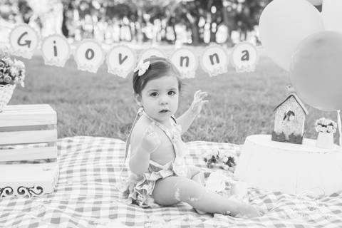 Giovanna smash the cake museu vivo da memoria candanga muito sorriso jardim amassando o bolo destruindo o bolo'