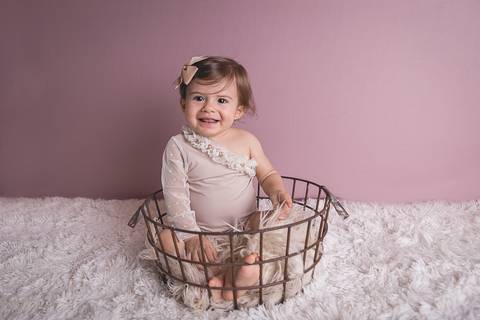 acompanhamento bebe baby book primeiro ano milestones gabriela brasilia df sorrindo cama quartinho irmã cesto aramado 10 meses'