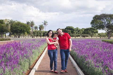 ensaio familia smash the cake 1 ano um aninho lavandas praça dos cristais smu lavandas '