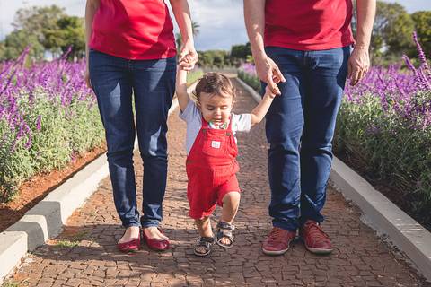 ensaio familia smash the cake 1 ano um aninho lavandas praça dos cristais smu lavandas '