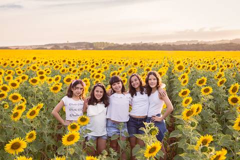 amigas no girassol sorrindo'
