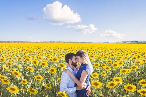 casal book rodolfo priscilla girassol abraçando sorrindo'