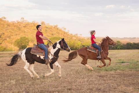 priscilla e rodolfo cavalos montados fazenda ensaio de casal book beijando e cavalos também correndo a cavalo'