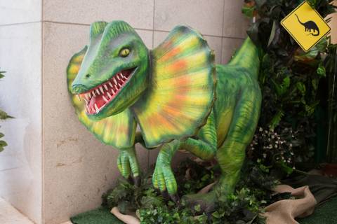 lua nova art e foto leticia amaral franco fotografia mundo dos dinossauros entrada'