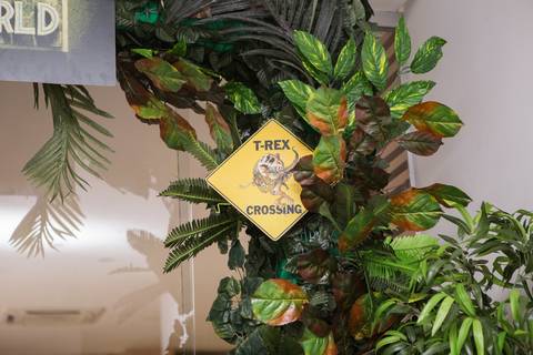 lua nova art e foto leticia amaral franco fotografia mundo dos dinossauros entrada placa'