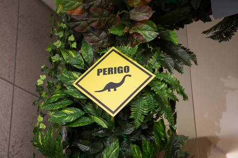 lua nova art e foto leticia amaral franco fotografia mundo dos dinossauros entrada placa'