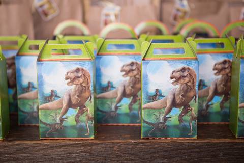 lua nova art e foto leticia amaral franco fotografia mundo dos dinossauros entrada lembrancinhas'